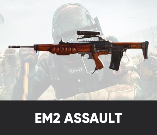 EM2 Assault Rifle Ready Bundle